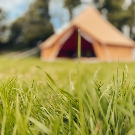 Fully Furnished Bell Tent 1 St Austell Exterior foto