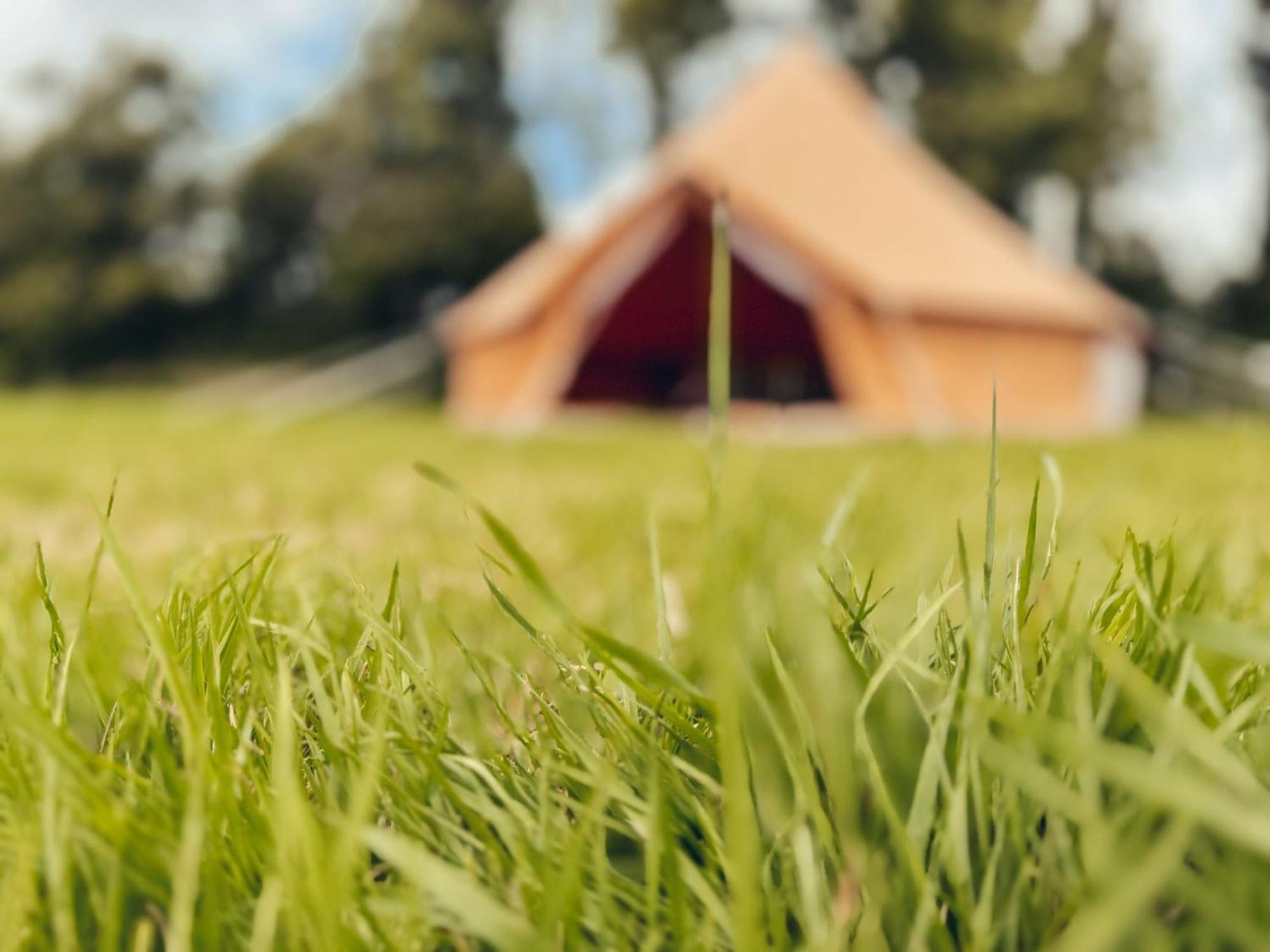 Fully Furnished Bell Tent 1 St Austell Exterior foto